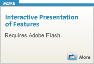 interactive flash presentation